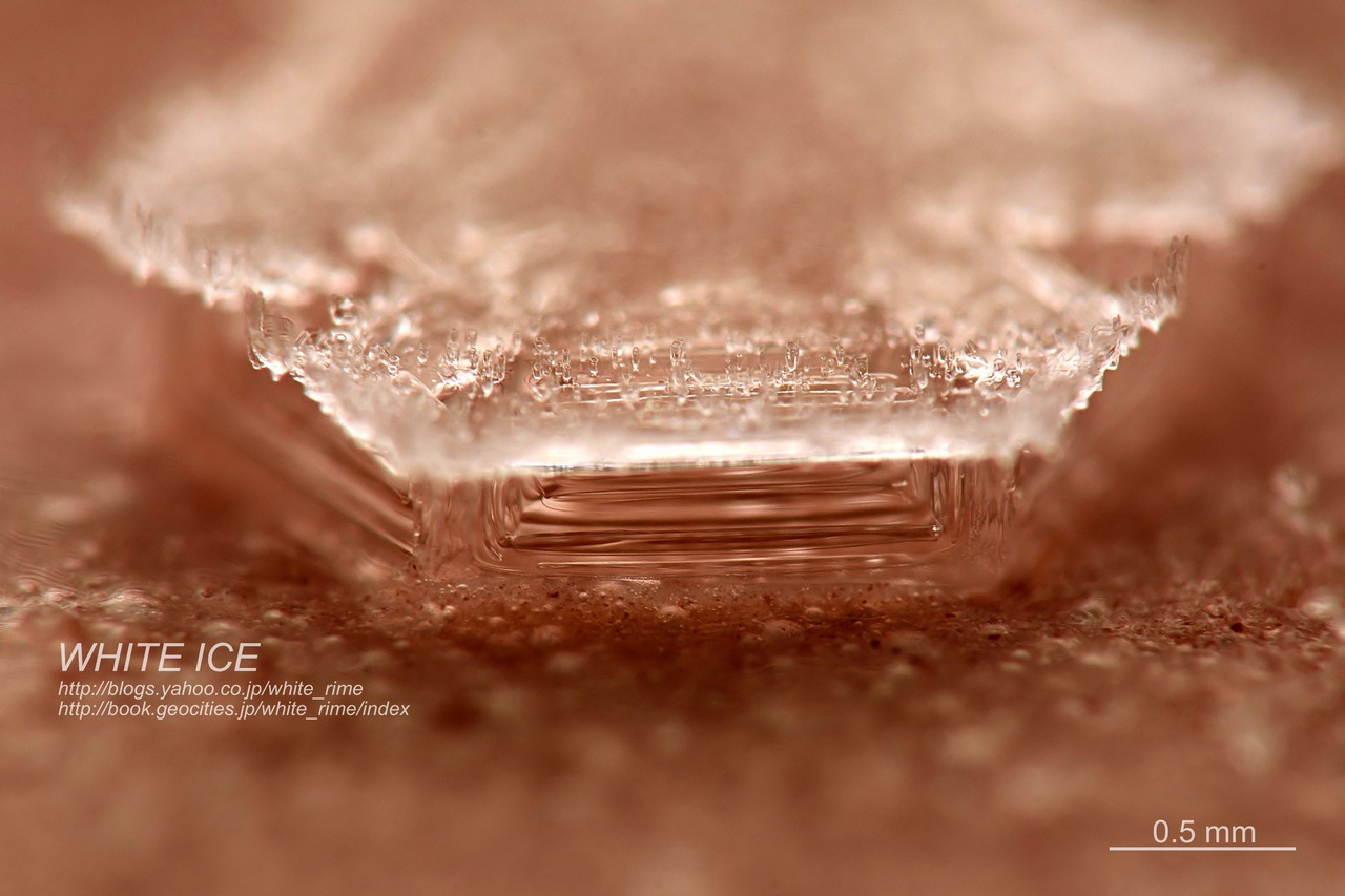 チョコレートアイス