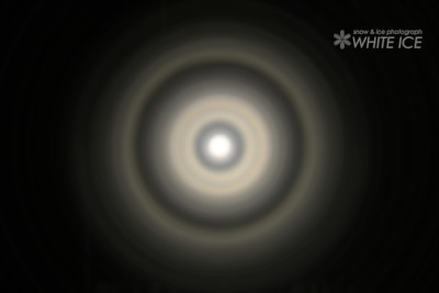 ミョウバンハロ