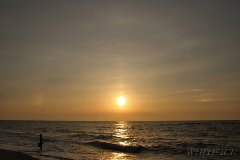 太陽柱