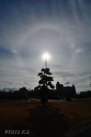 幻日