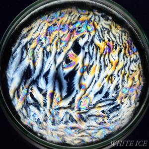 凍った過冷却水の偏光写真