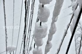 着雪