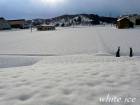 雪えくぼ