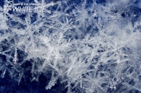 角板・樹枝状等の併合