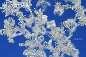 柱状・板状・交差角板の併合