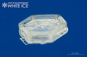 巻込骸晶付角板