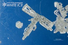 骸晶角柱・交差角板