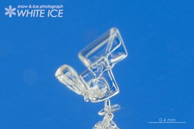 骸晶砲弾・四角形