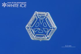 反射光+透過光