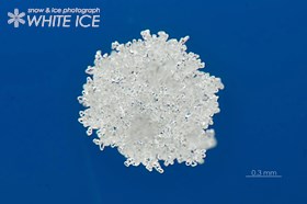 濃密雲粒付角板