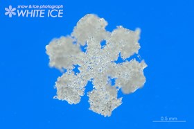 濃密雲粒付六花